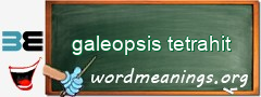 WordMeaning blackboard for galeopsis tetrahit